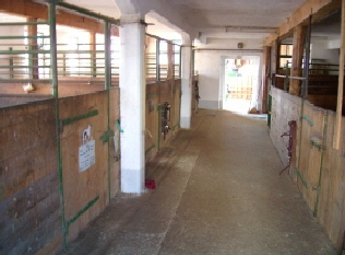 Reitstall Pferdeboxen in Passau 