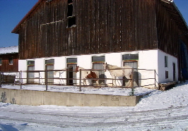 Passau Pferde unterstellen in Passau